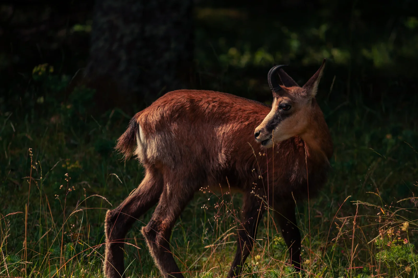 nature photography by JRMGraphy